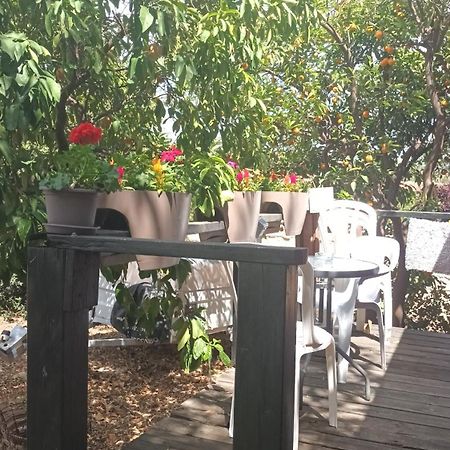 A Fun Holiday In The Galilee Sede Eli'ezer Екстериор снимка