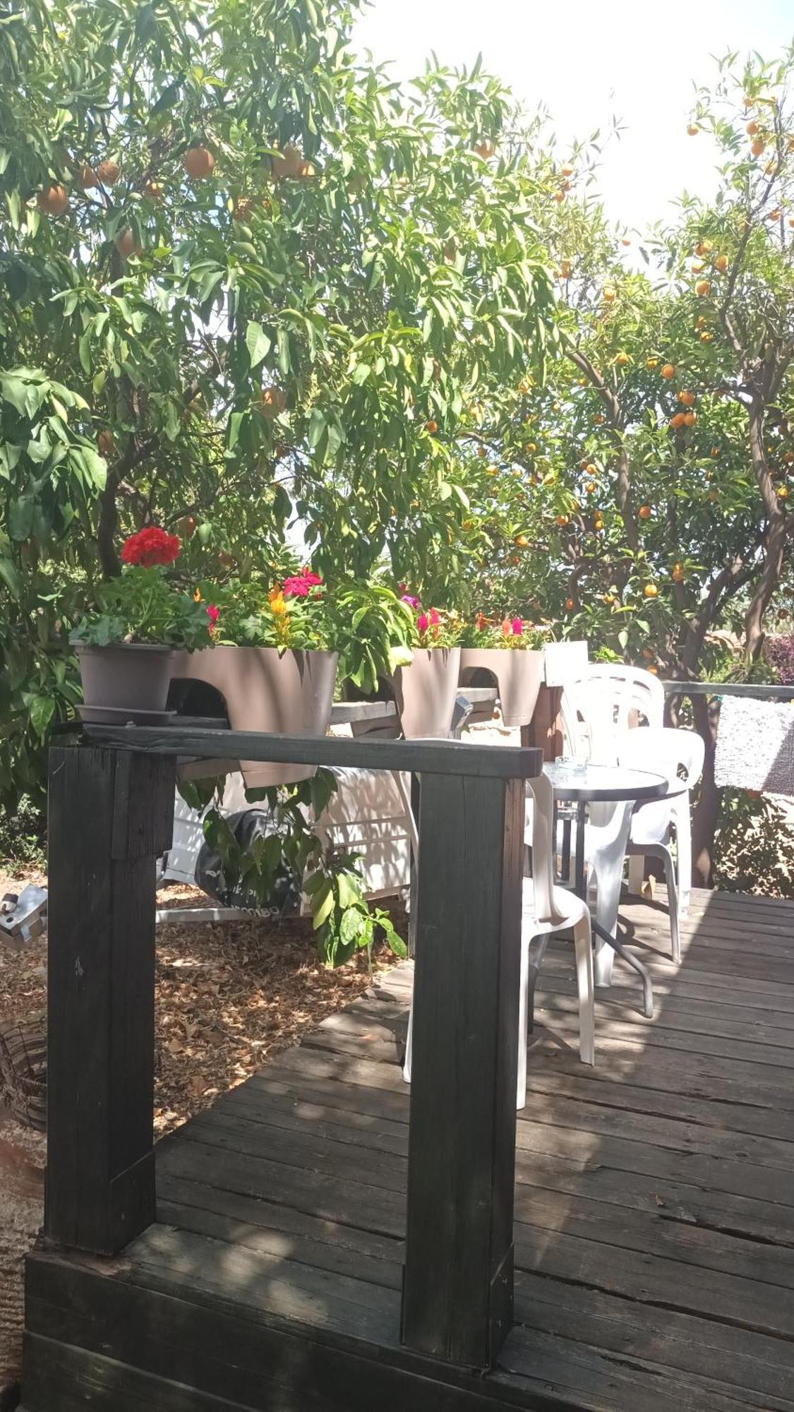 A Fun Holiday In The Galilee Sede Eli'ezer Екстериор снимка